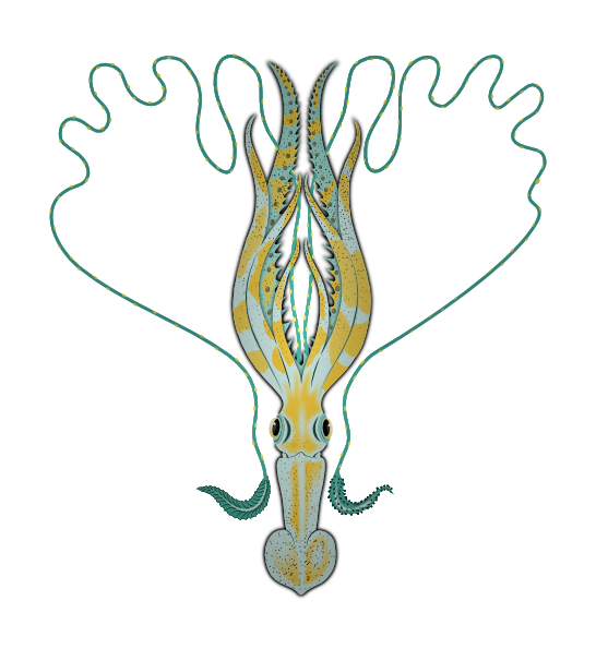 Calamari PNG, SVG Clip art for Web - Download Clip Art, PNG Icon Arts