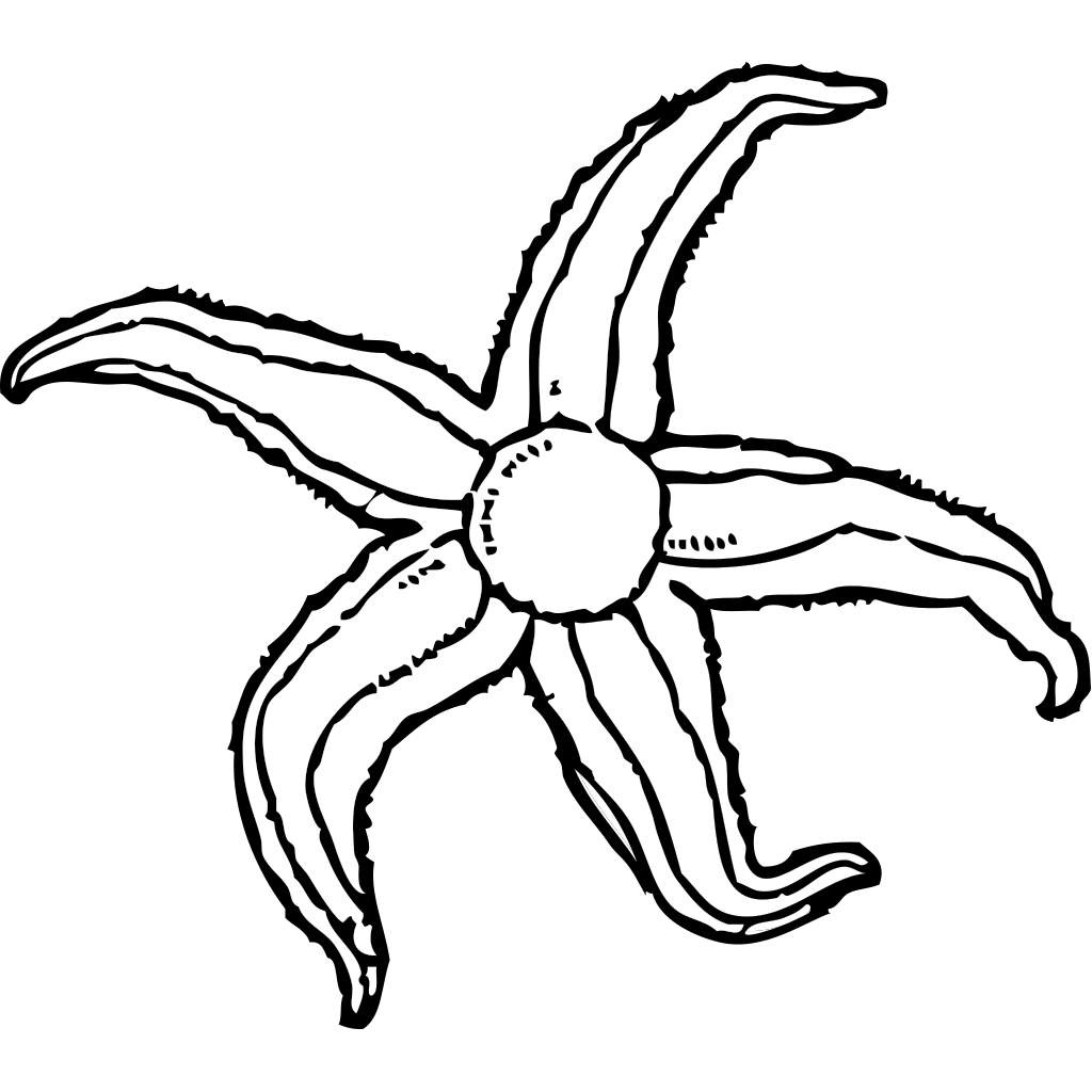 Starfish SVG Clip arts download - Download Clip Art, PNG ...