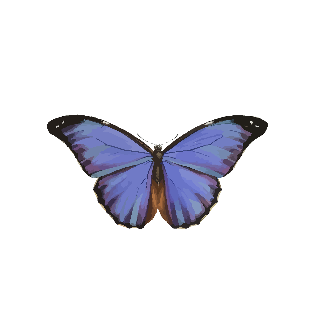 Download Blue Butterfly PNG, SVG Clip art for Web - Download Clip ...