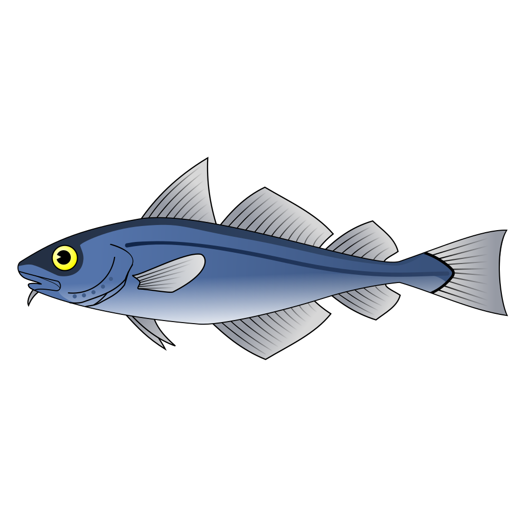 Рыба треска на белом фоне. Рыба хек вектор. Треска вектор. Хек рисунок для детей. Рыбка 3 3 0 3