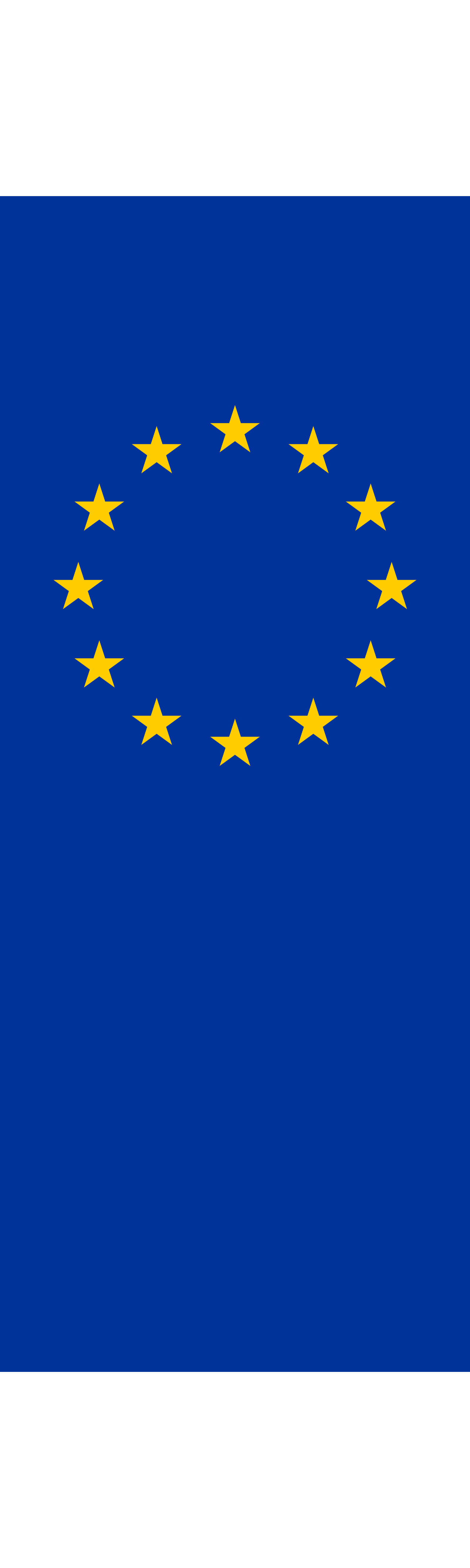 flag-of-eu-png-svg-clip-art-for-web-download-clip-art-png-icon-arts