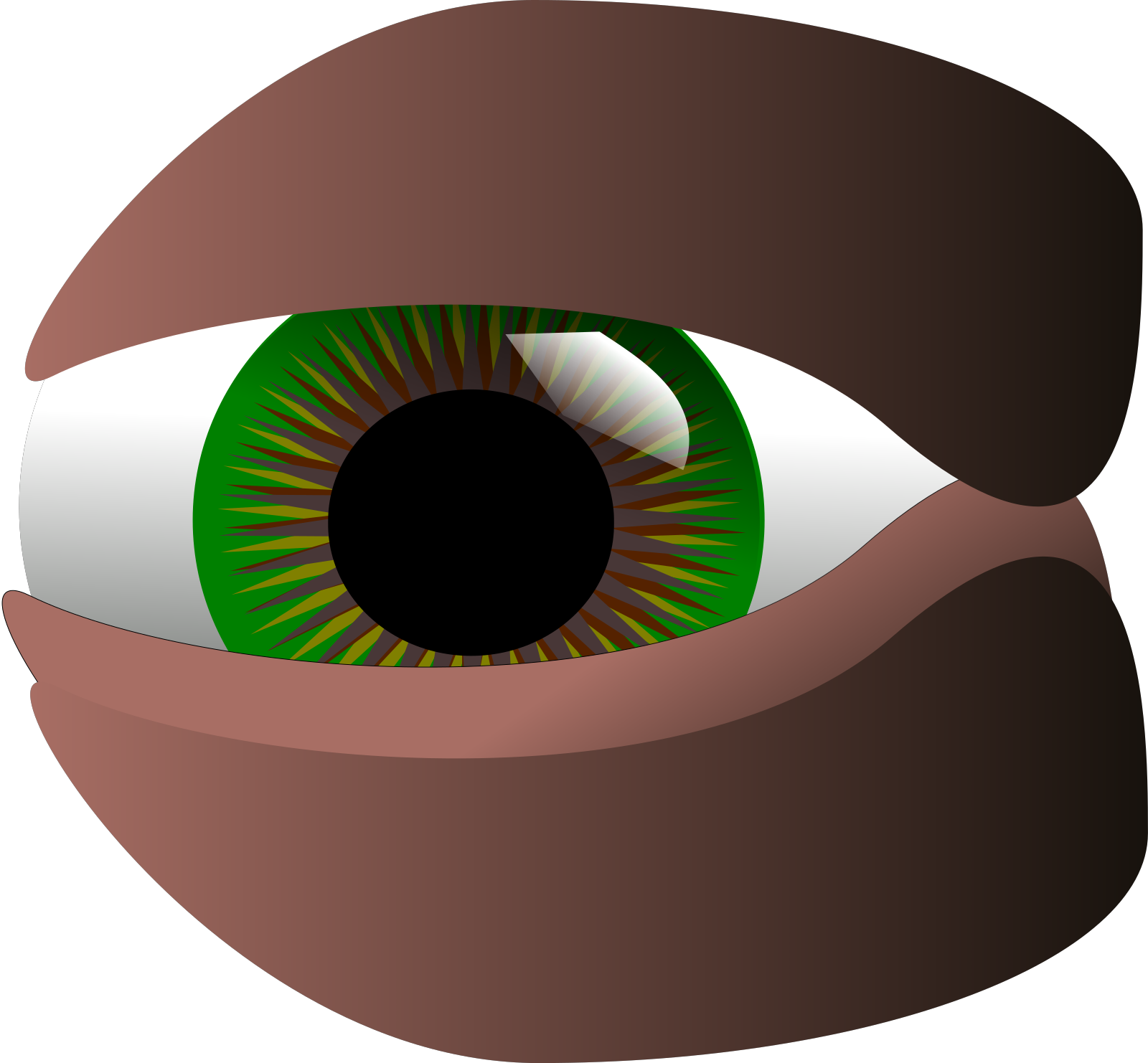 Eye word. Глаз Illustrator. Глаза в иллюстраторе. Зеленые глаза вектор