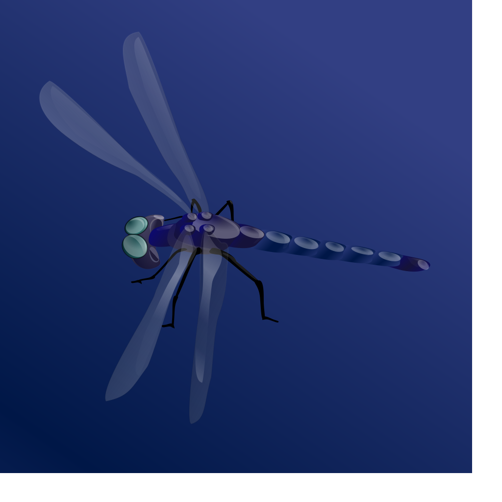 Blue Dragonfly PNG, SVG Clip art for Web - Download Clip Art, PNG Icon Arts