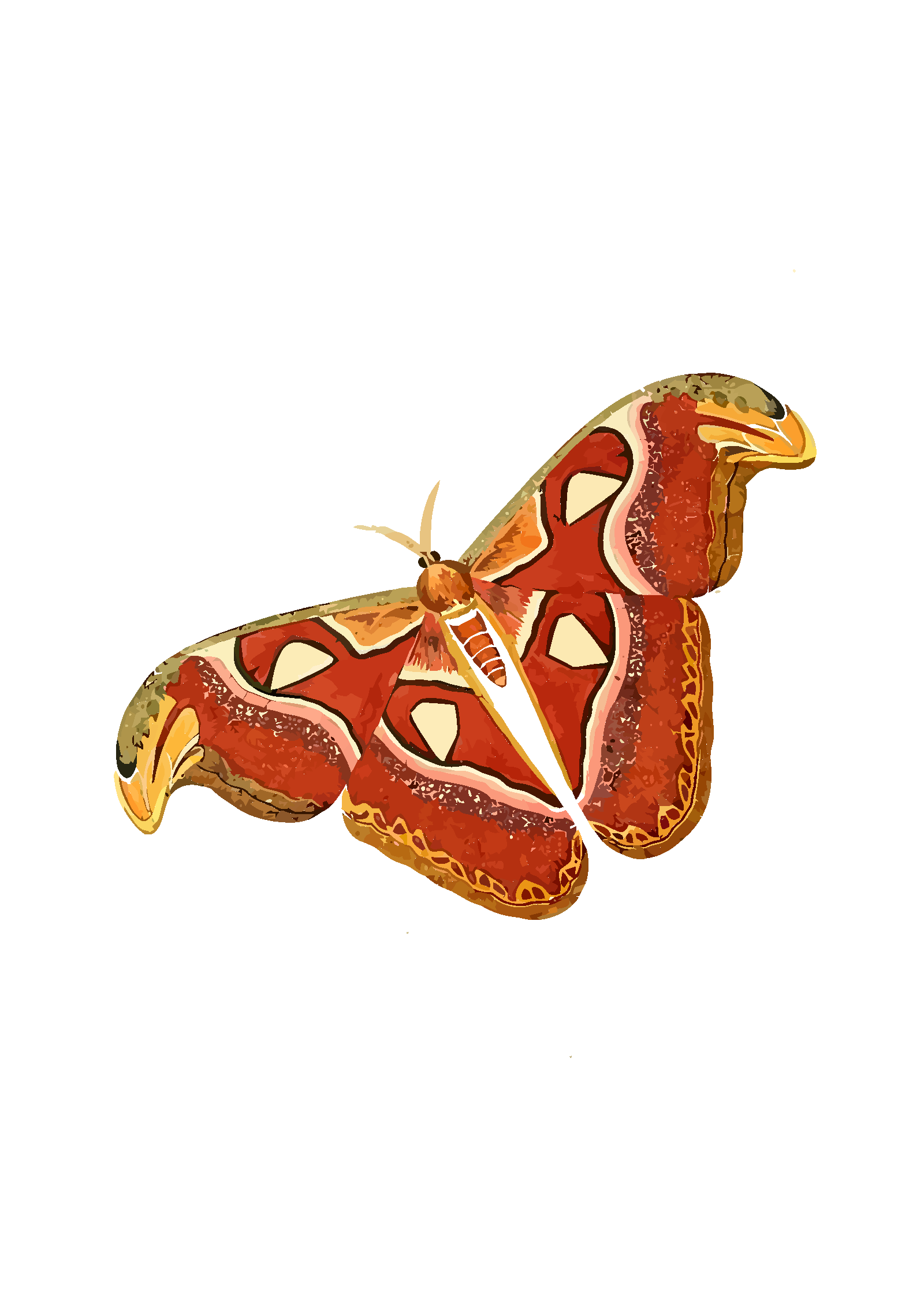 Download Mariposa Azul PNG, SVG Clip art for Web - Download Clip ...