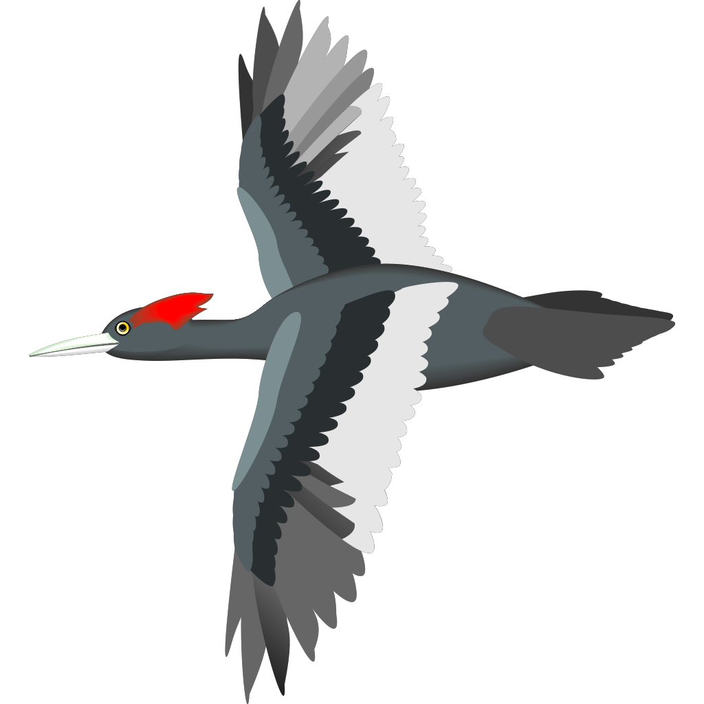 Download Flying Bird PNG, SVG Clip art for Web - Download Clip Art, PNG Icon Arts