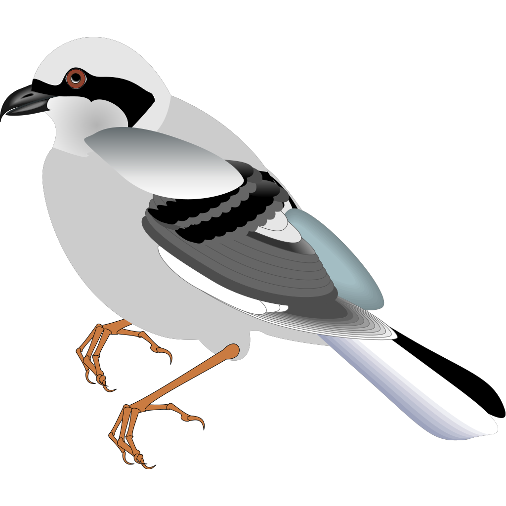 Download Standing Bird PNG, SVG Clip art for Web - Download Clip ...