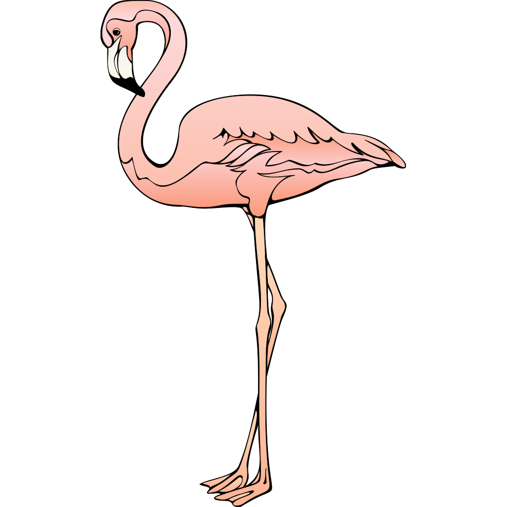 flamingo clipart png flamingo clipart png