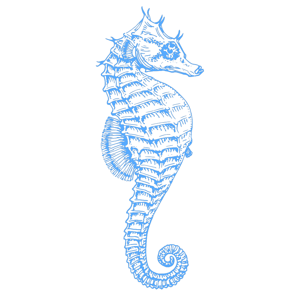 Векторный рисунок морской конек