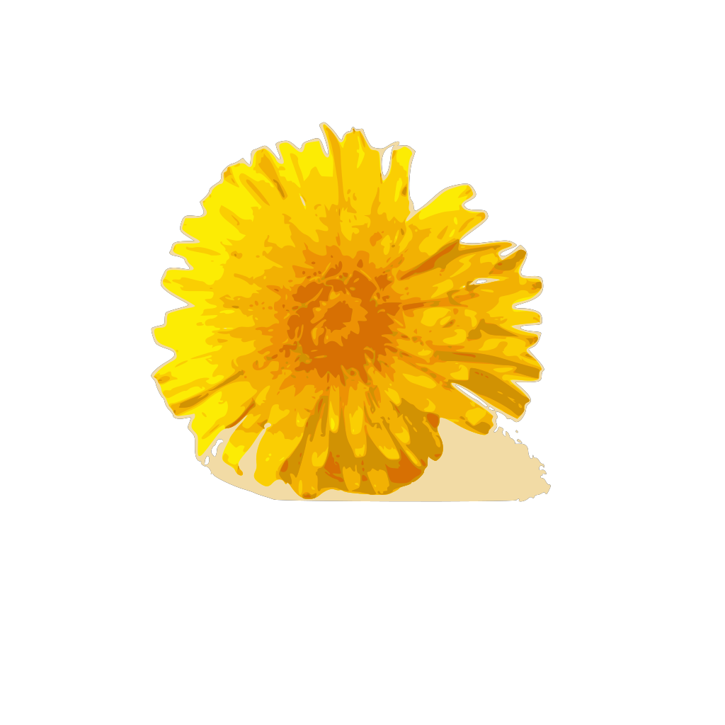 Download Dandelion PNG, SVG Clip art for Web - Download Clip Art, PNG Icon Arts