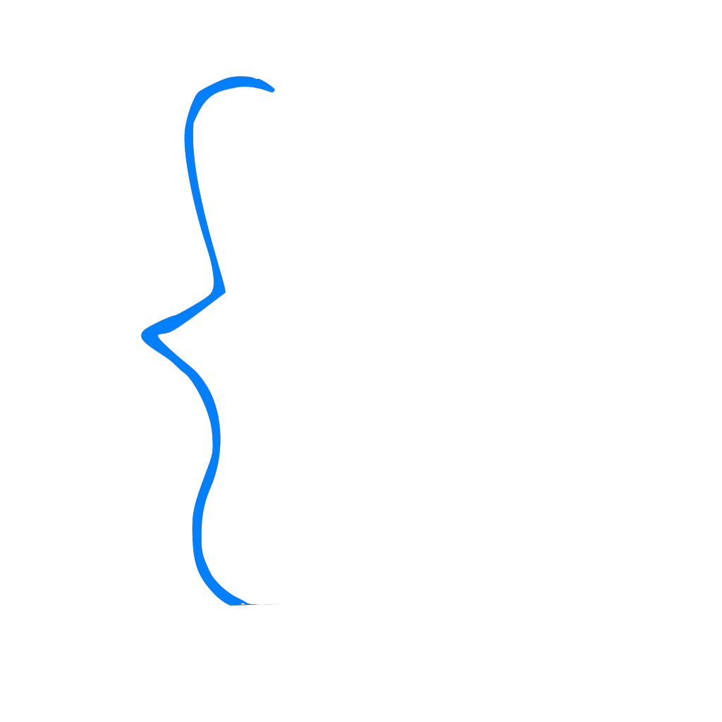 Красивые скобки. Фигурная скобка. Красивые скобки для фотошопа. Left Bracket. Right curly Bracket svg