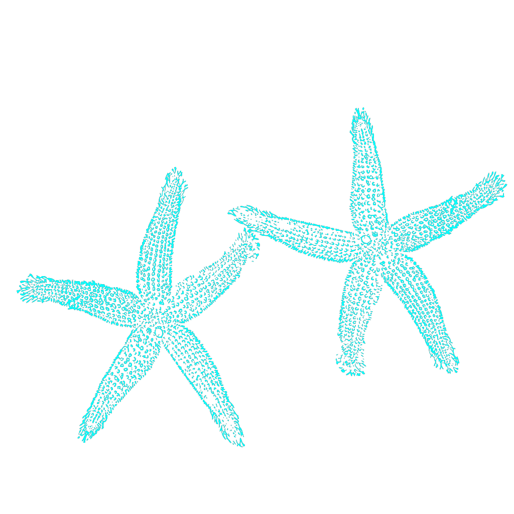 Download Aqua Blue Starfish PNG, SVG Clip art for Web - Download ...