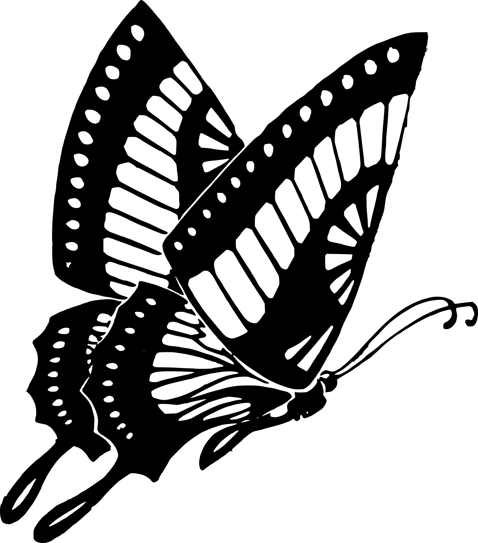 Картинки с расширением png