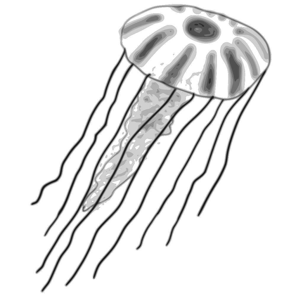 Blue Jellyfish Png Svg Clip Art For Web Download Clip Art Png Icon Arts