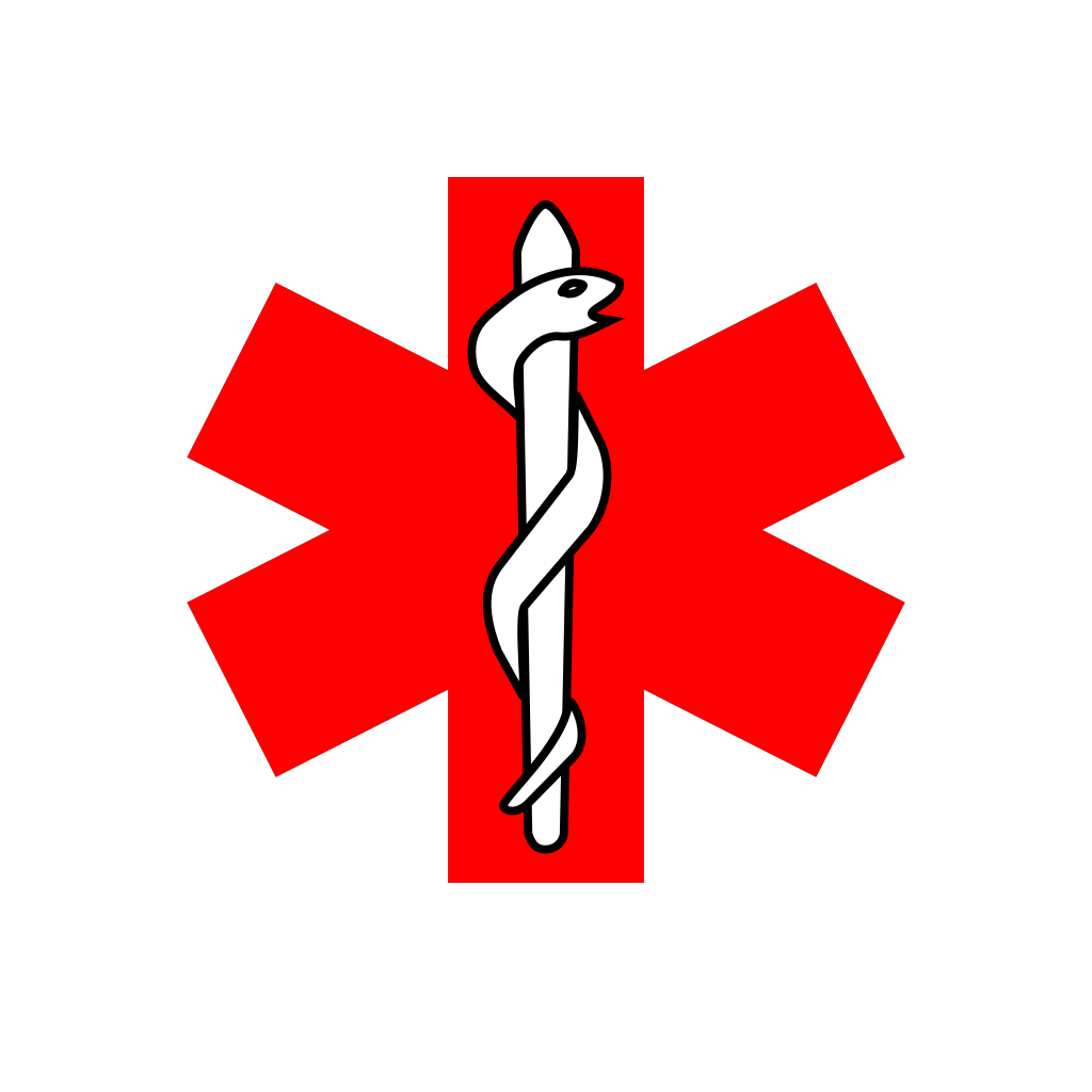 Красный крест. Красный крест крест. Красный крест символ. Логотип крестик. Герб с красным крестом