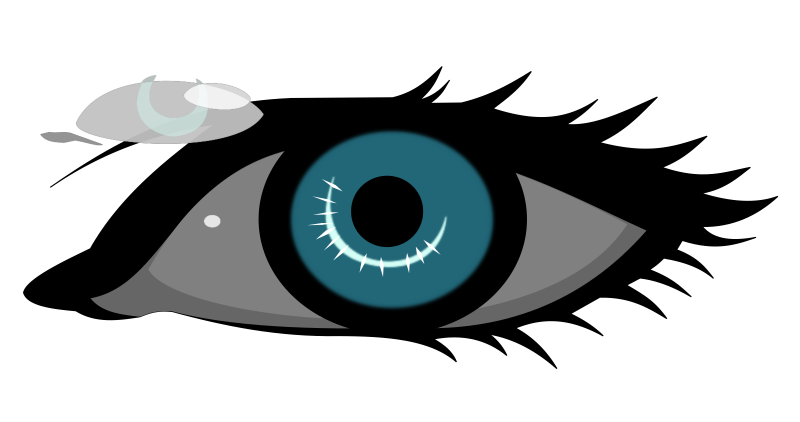 Eye PNG, SVG Clip art for  Download Clip Art, PNG Icon Arts