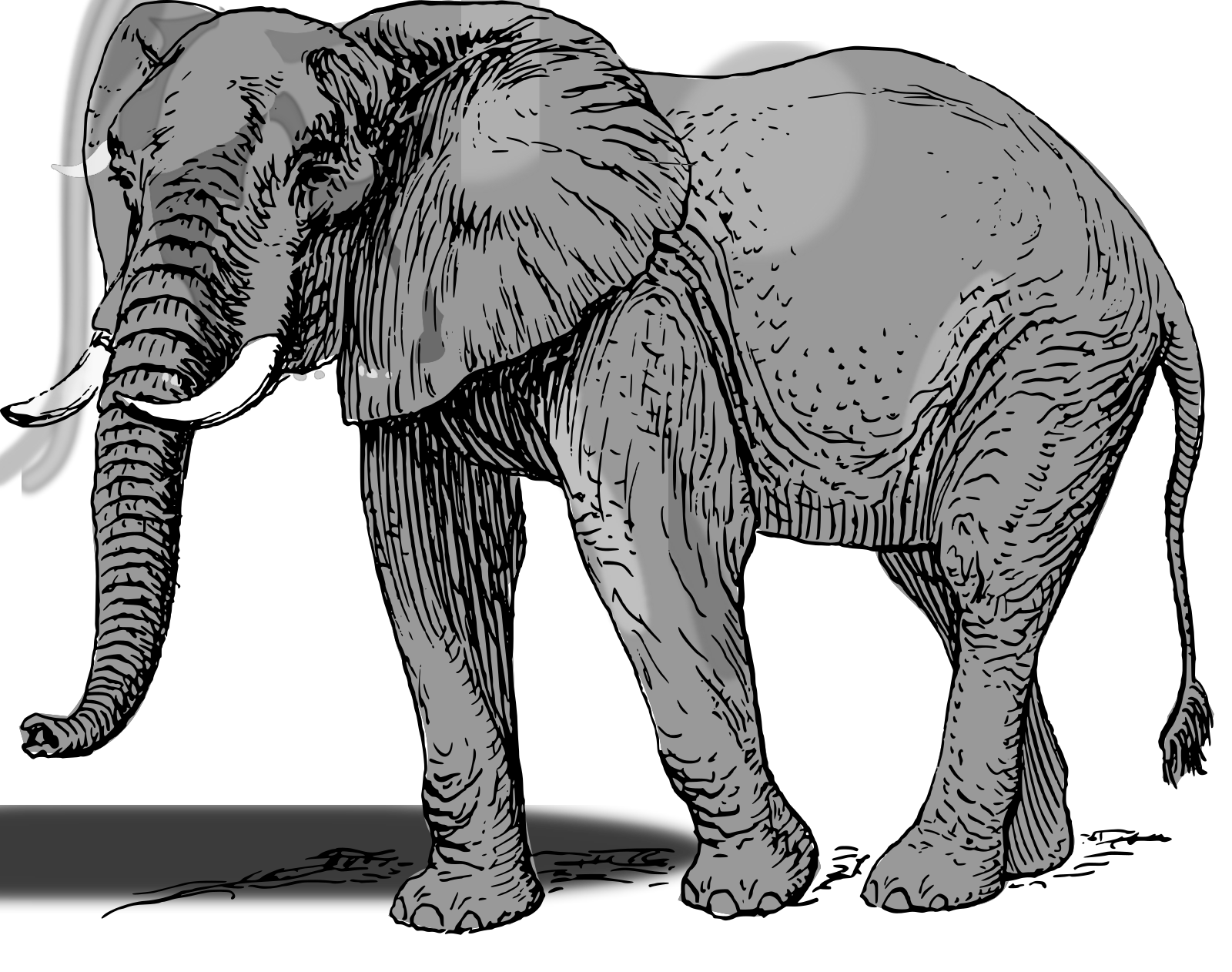 Free Free 238 Elephant Svg Free Download SVG PNG EPS DXF File