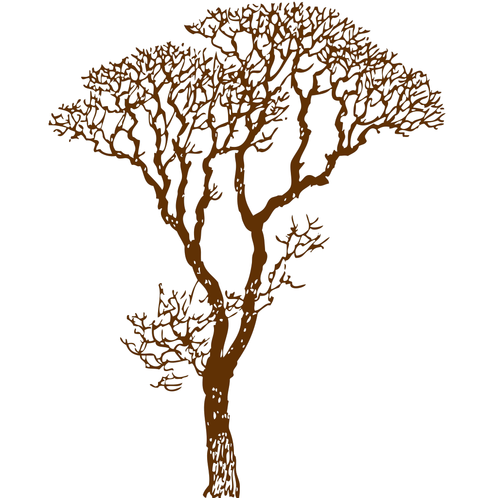 Brown Tree Branch PNG, SVG Clip art for Web - Download Clip Art, PNG