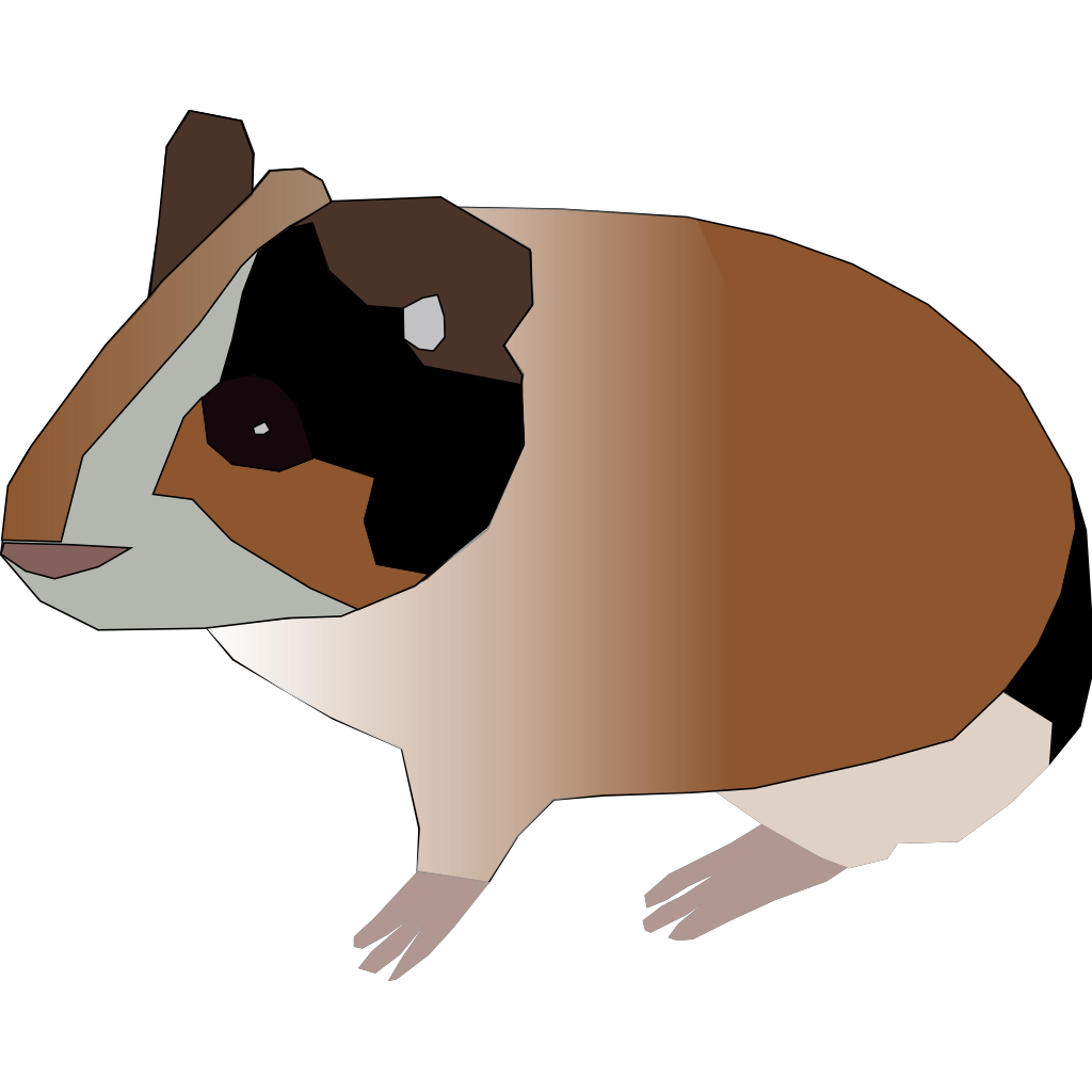 Download Guinea Pig PNG, SVG Clip art for Web - Download Clip Art ...