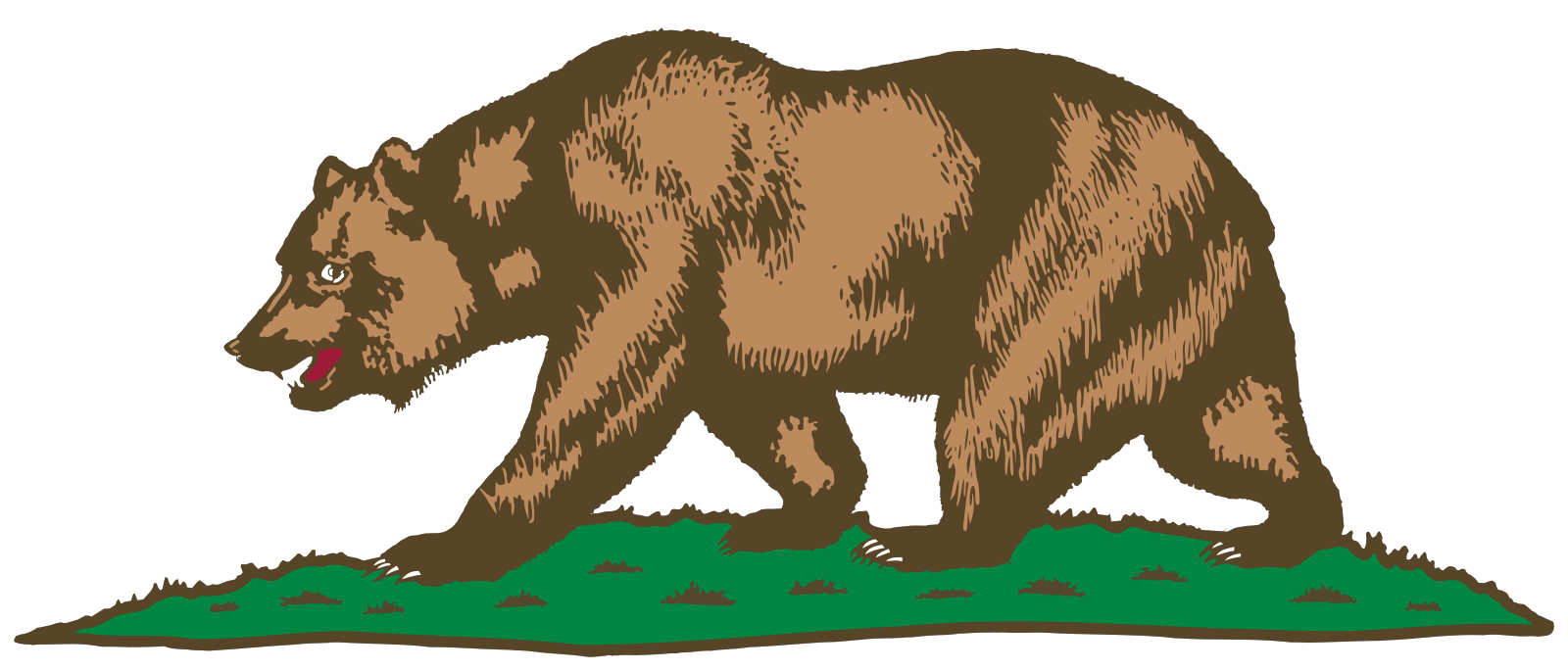 Bear Head PNG, SVG Clip art for Web - Download Clip Art, PNG Icon Arts