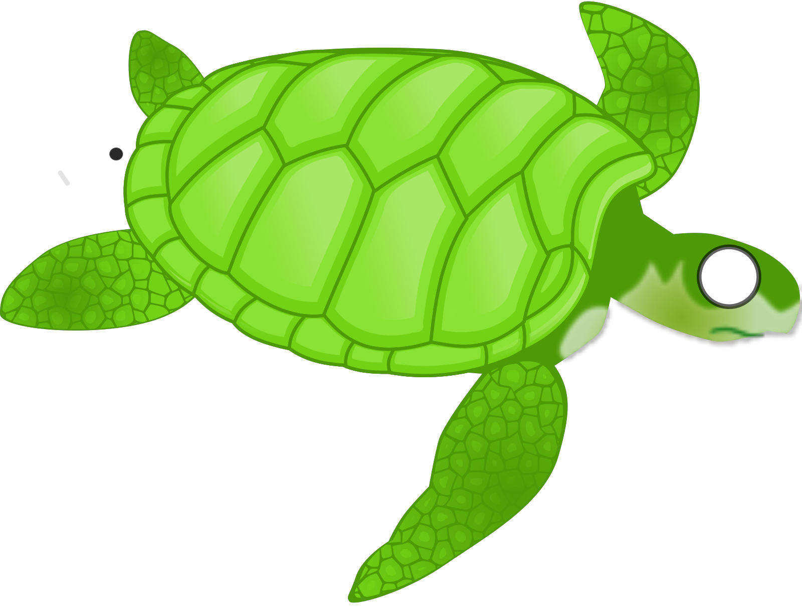 Free Free 101 Baby Turtle Svg Free SVG PNG EPS DXF File
