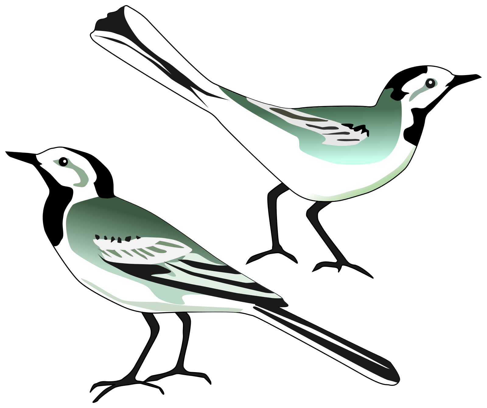 Free Free 186 Love Birds Svg SVG PNG EPS DXF File