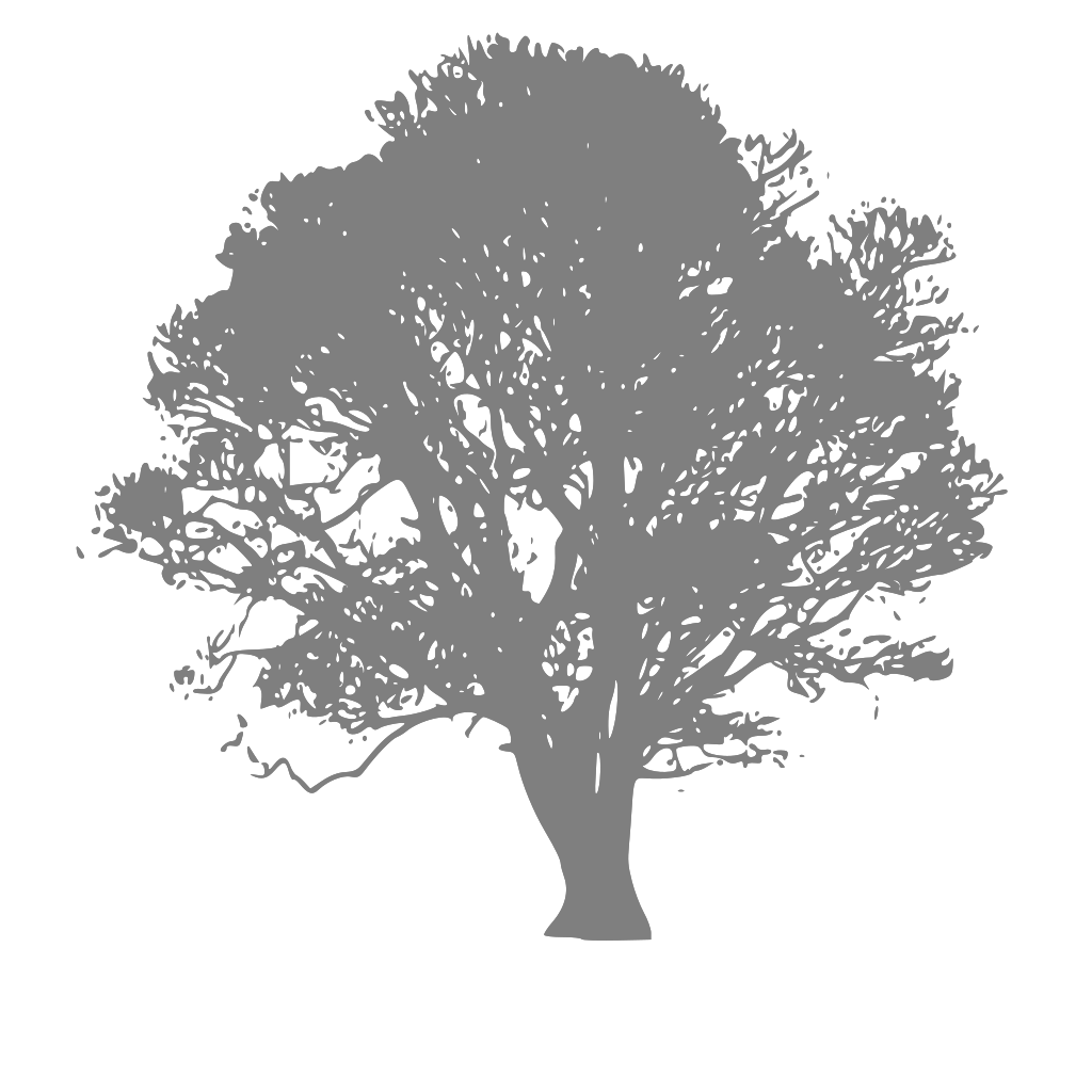 Download Brown Wedding Tree Rgb 65 36 23 PNG, SVG Clip art for Web ...