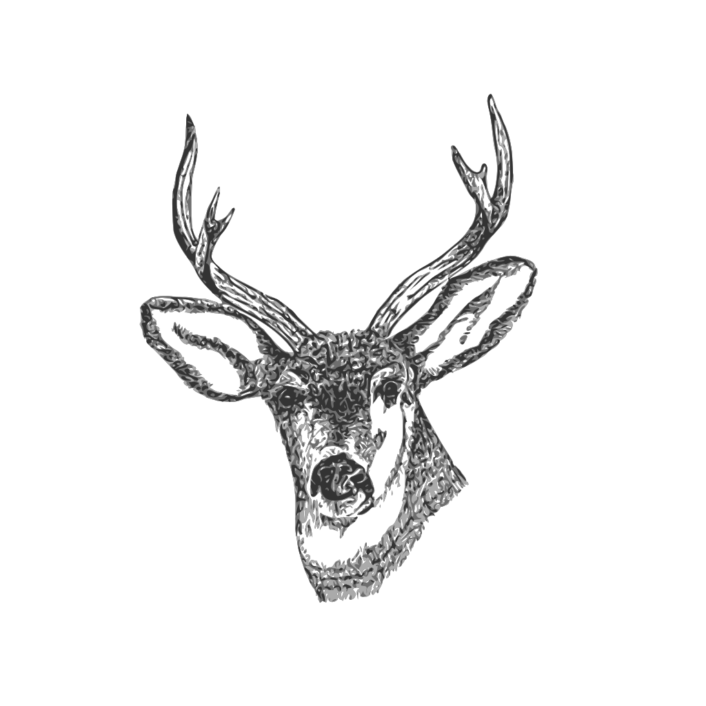 Download Deer Head SVG Clip arts download - Download Clip Art, PNG Icon Arts
