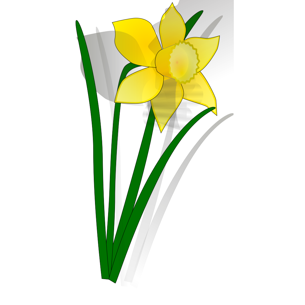 Daffodil flower PNG, SVG Clip art for  Download Clip Art, PNG Icon