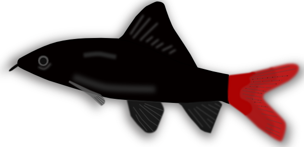 Download Aquarium Fish Silhouette PNG, SVG Clip art for Web ...