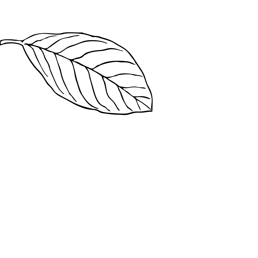 Oak Leaf PNG, SVG Clip art for Web - Download Clip Art, PNG Icon Arts