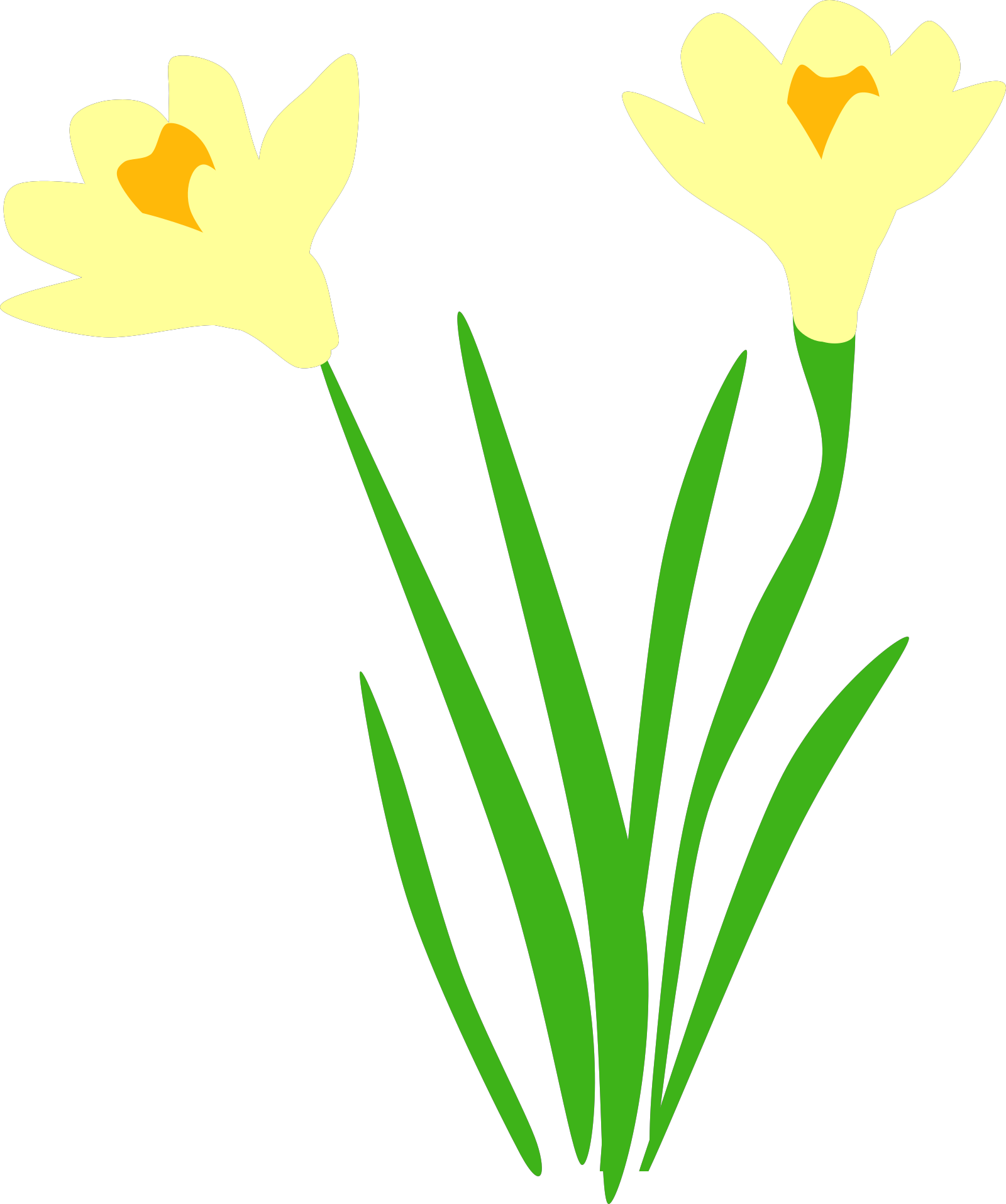 Download Daffodil Png Svg Clip Art For Web Download Clip Art Png Icon Arts