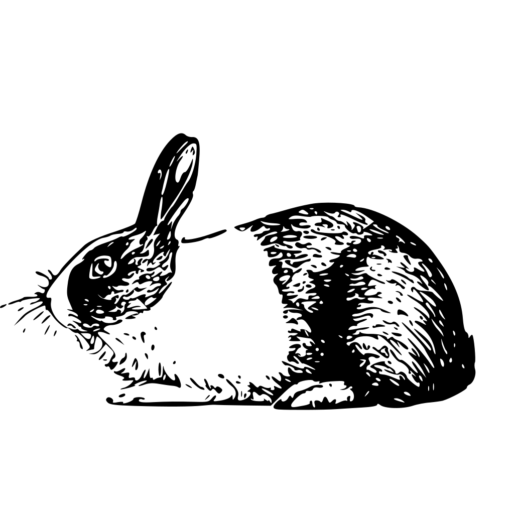 Рисунок кролика чб