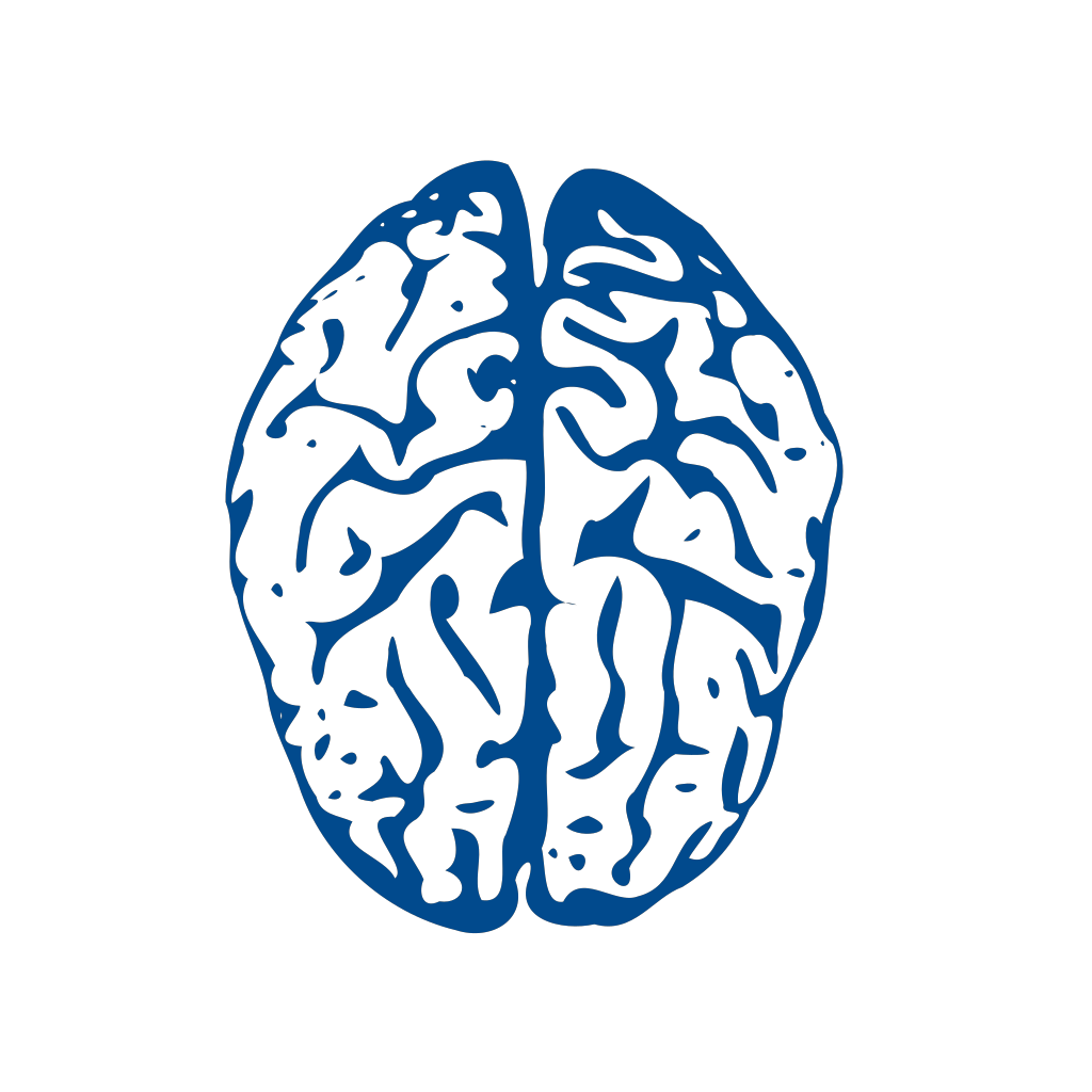 Brain download. Мозг рисунок. Мозг векторное изображение. Мозг нарисованный. Мозг без фона.