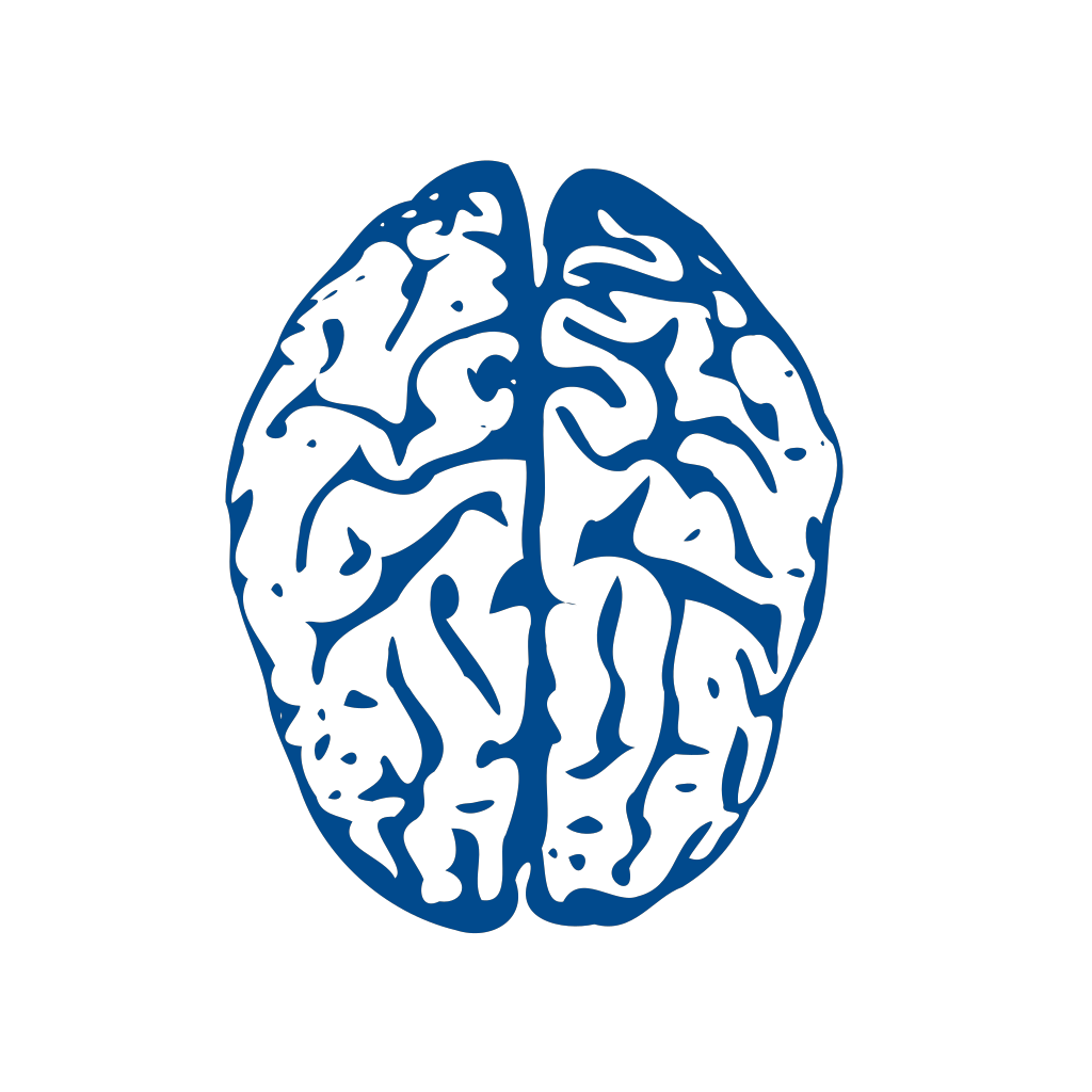 Проект blue brain