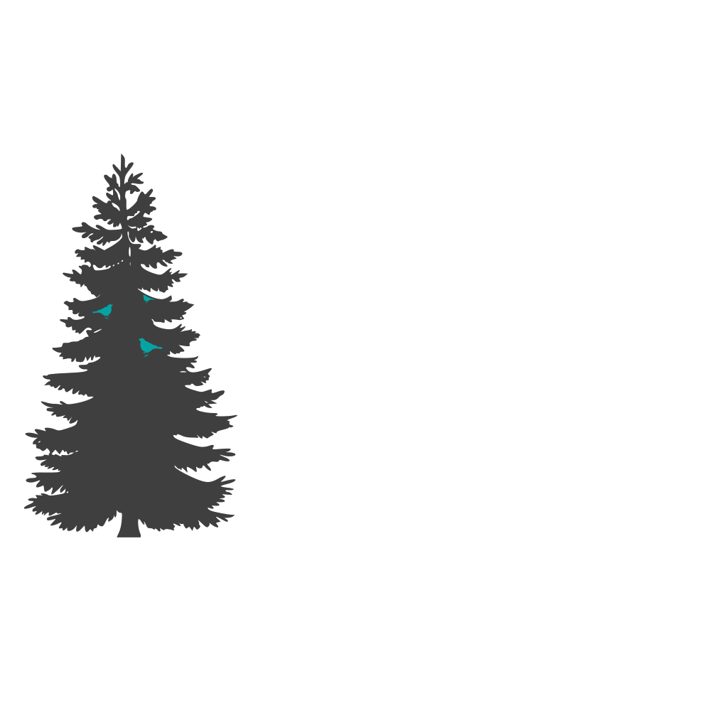 Bird Family PNG, SVG Clip art for Web - Download Clip Art, PNG Icon Arts