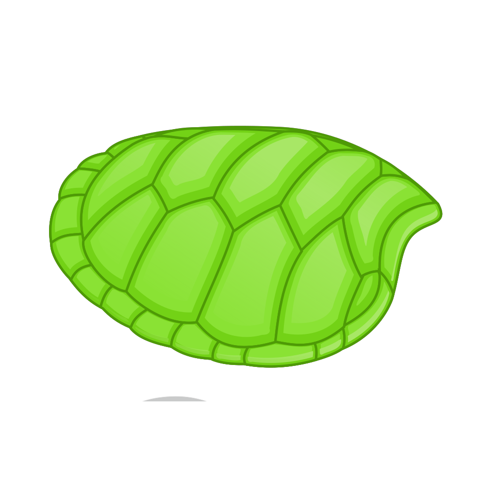 Turtle shell. Панцирь черепахи вектор. Черепаха мультяшная. Черепаший панцирь на белом фоне. Черепаха на белом фоне.