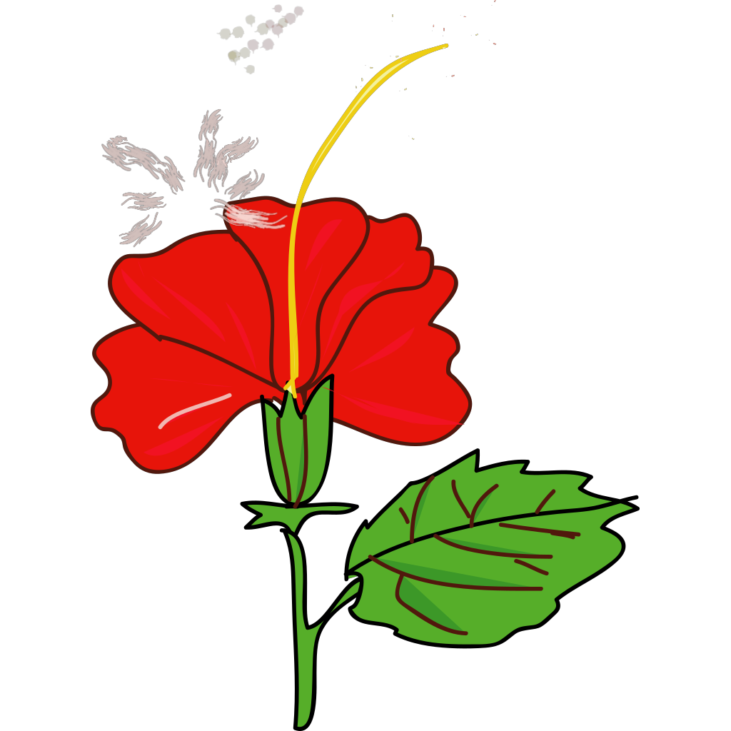 Flower Hibiscus PNG, SVG Clip art for Web Download Clip