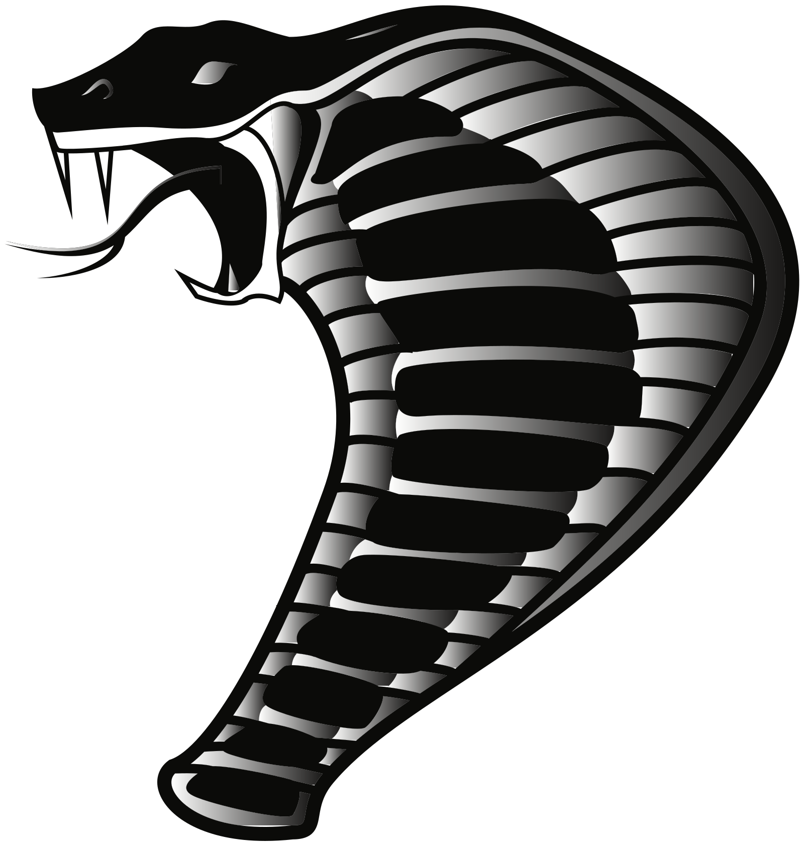 Snake Outline PNG, SVG Clip art for Web - Download Clip Art, PNG Icon Arts