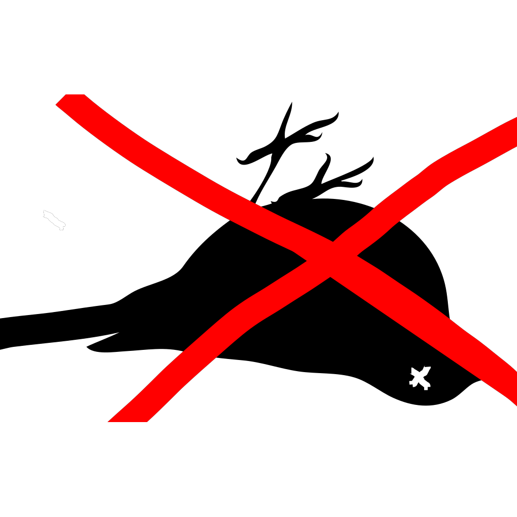 My Image 6