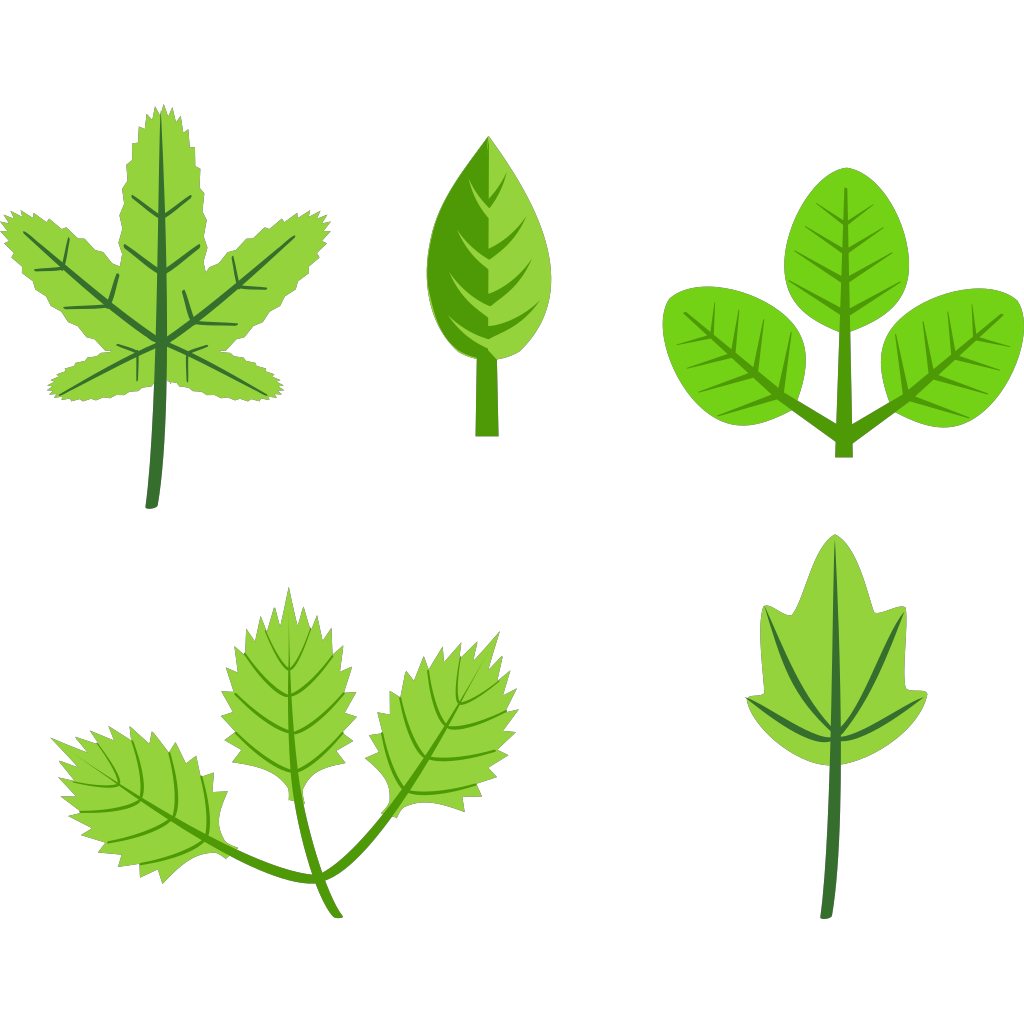 Leaves Tree Vines Branches PNG, SVG Clip art for  Download Clip