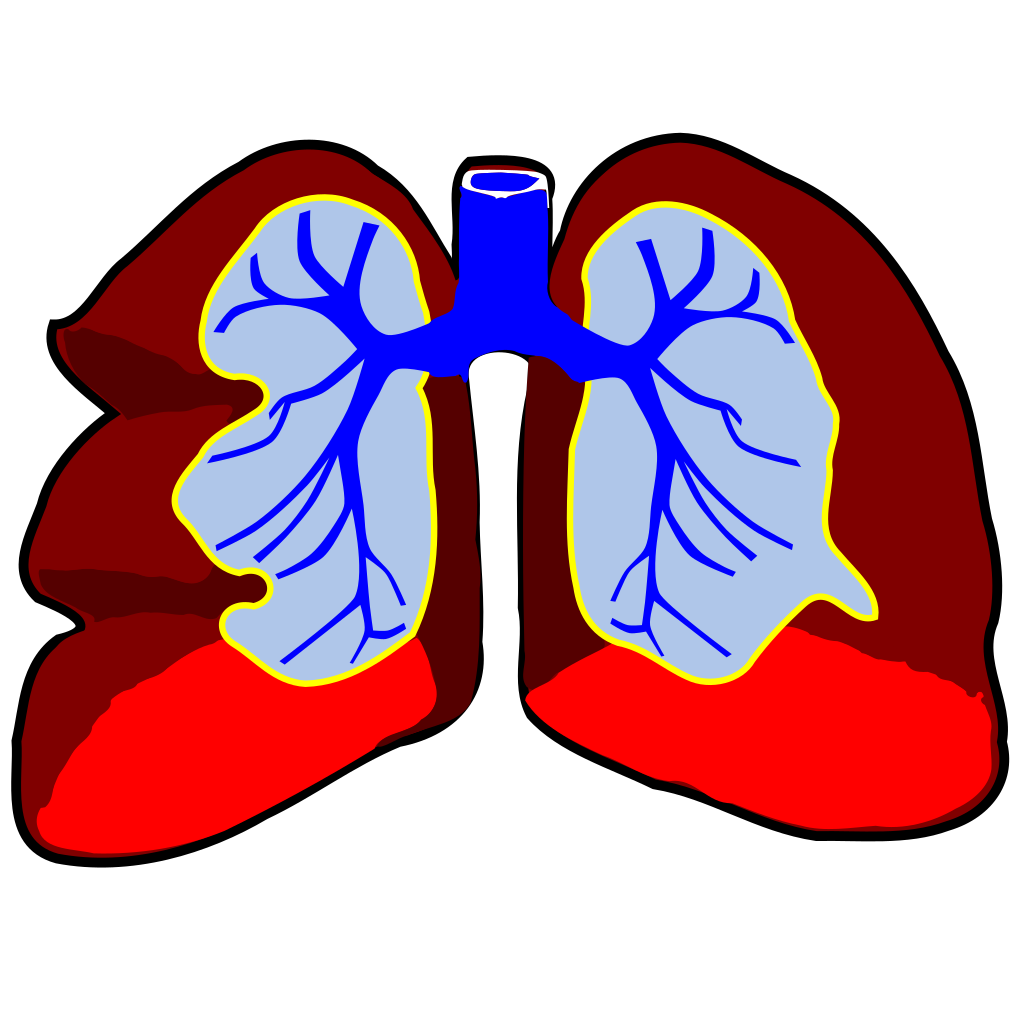 Free Free 169 Flower Lungs Svg SVG PNG EPS DXF File
