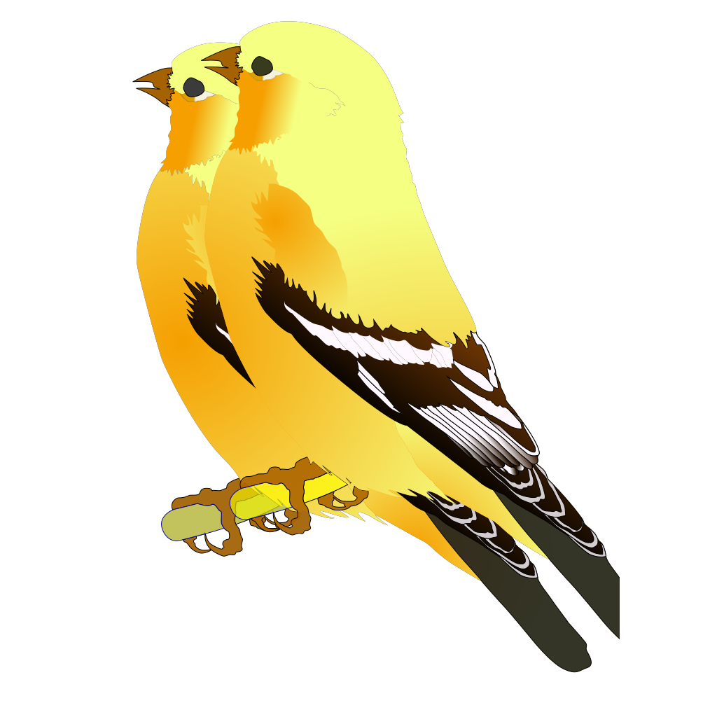 Download Companions Birds Of A Feather PNG, SVG Clip art for Web ...