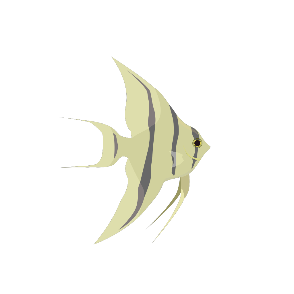 Download Hzo Angel Fish Png Svg Clip Art For Web Download Clip Art Png Icon Arts