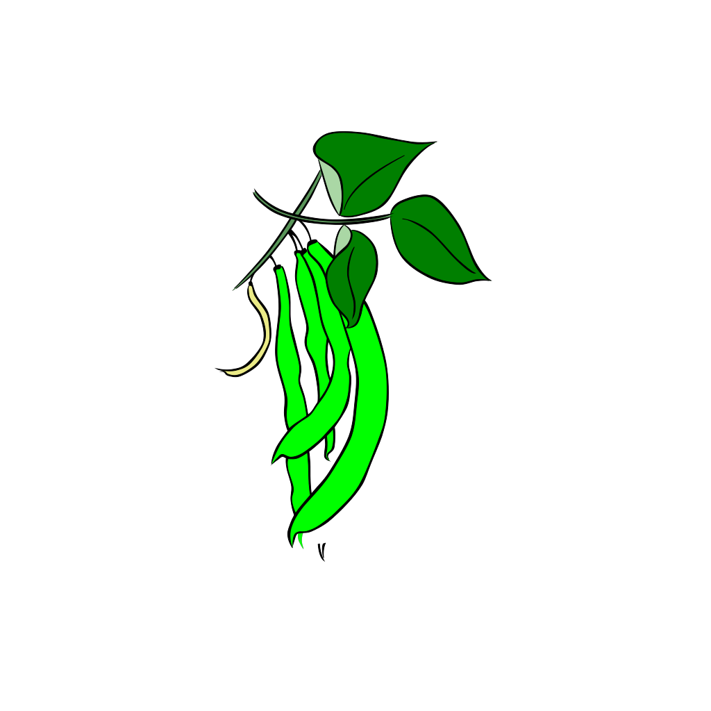Green French Bean PNG, SVG Clip art for  Download Clip Art, PNG Icon Arts