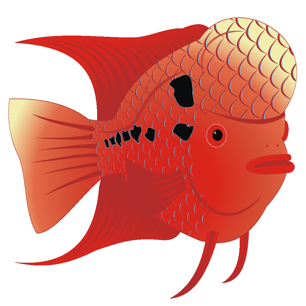 Free Free Fish Svg Icon 807 SVG PNG EPS DXF File