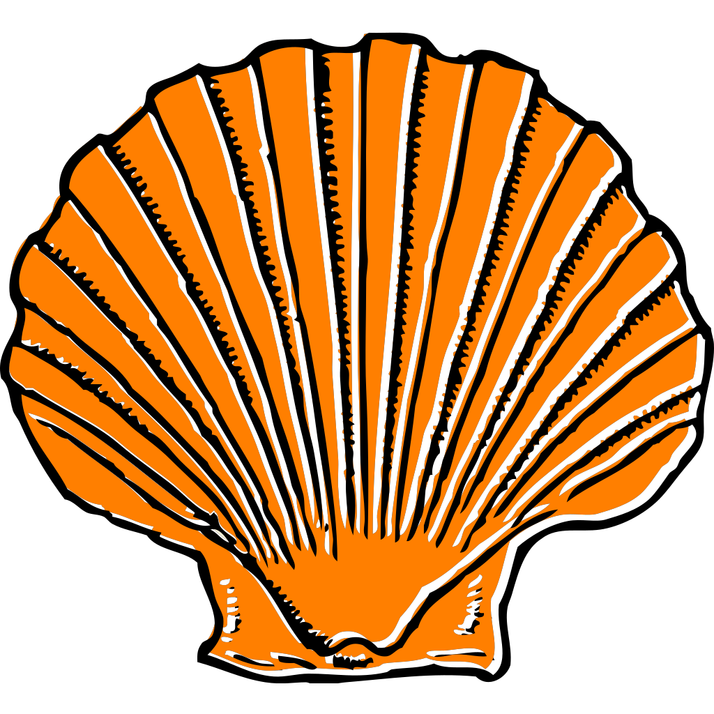Download Orange Seashell PNG, SVG Clip art for Web - Download Clip ...