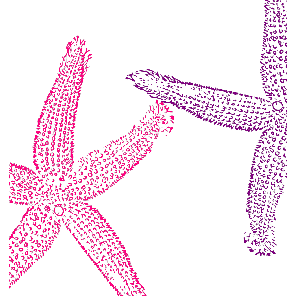 Download Turquoise Starfish PNG, SVG Clip art for Web - Download Clip Art, PNG Icon Arts