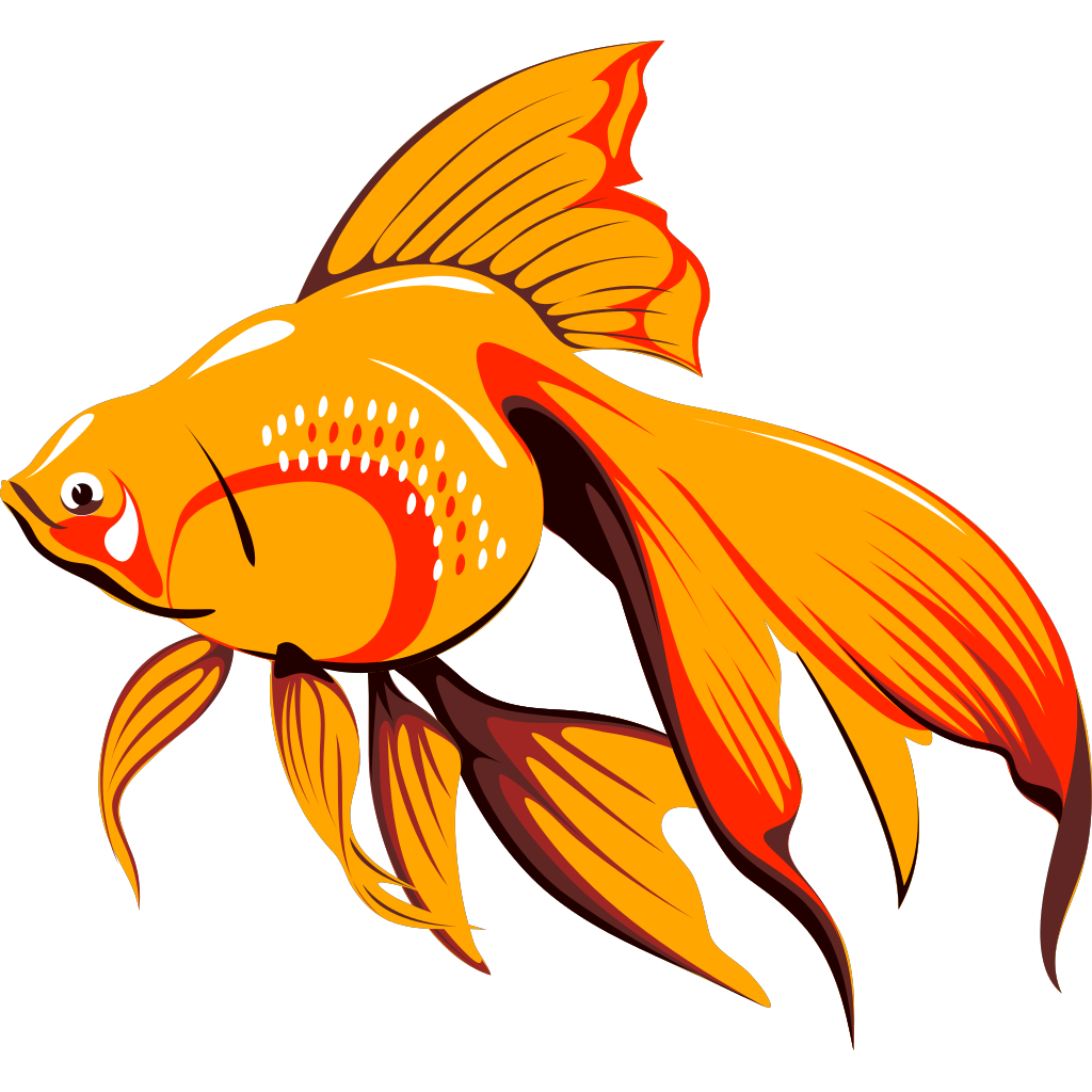 goldfish-with-long-fins-png-svg-clip-art-for-web-download-clip-art