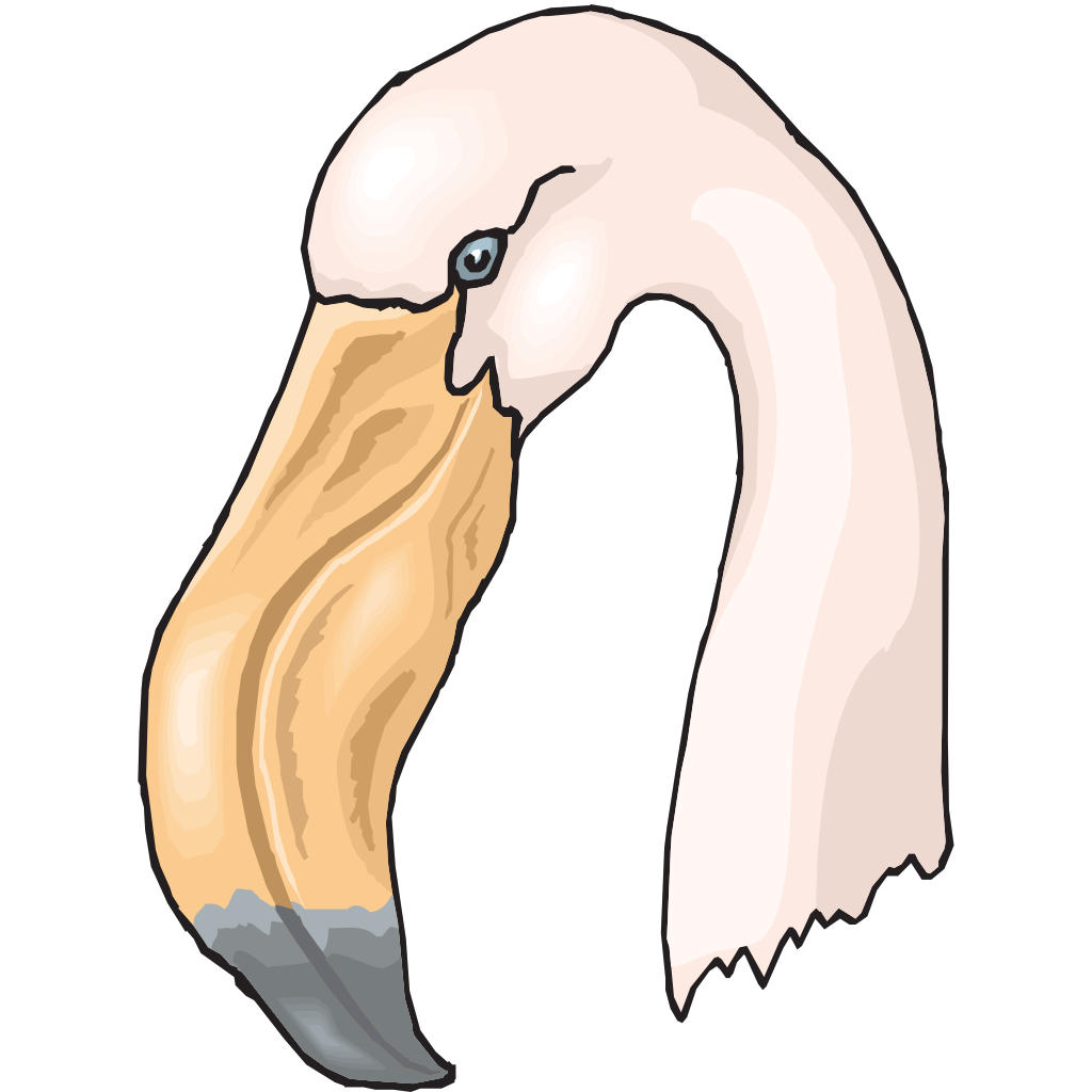 Download Flamingo Head PNG, SVG Clip art for Web - Download Clip ...
