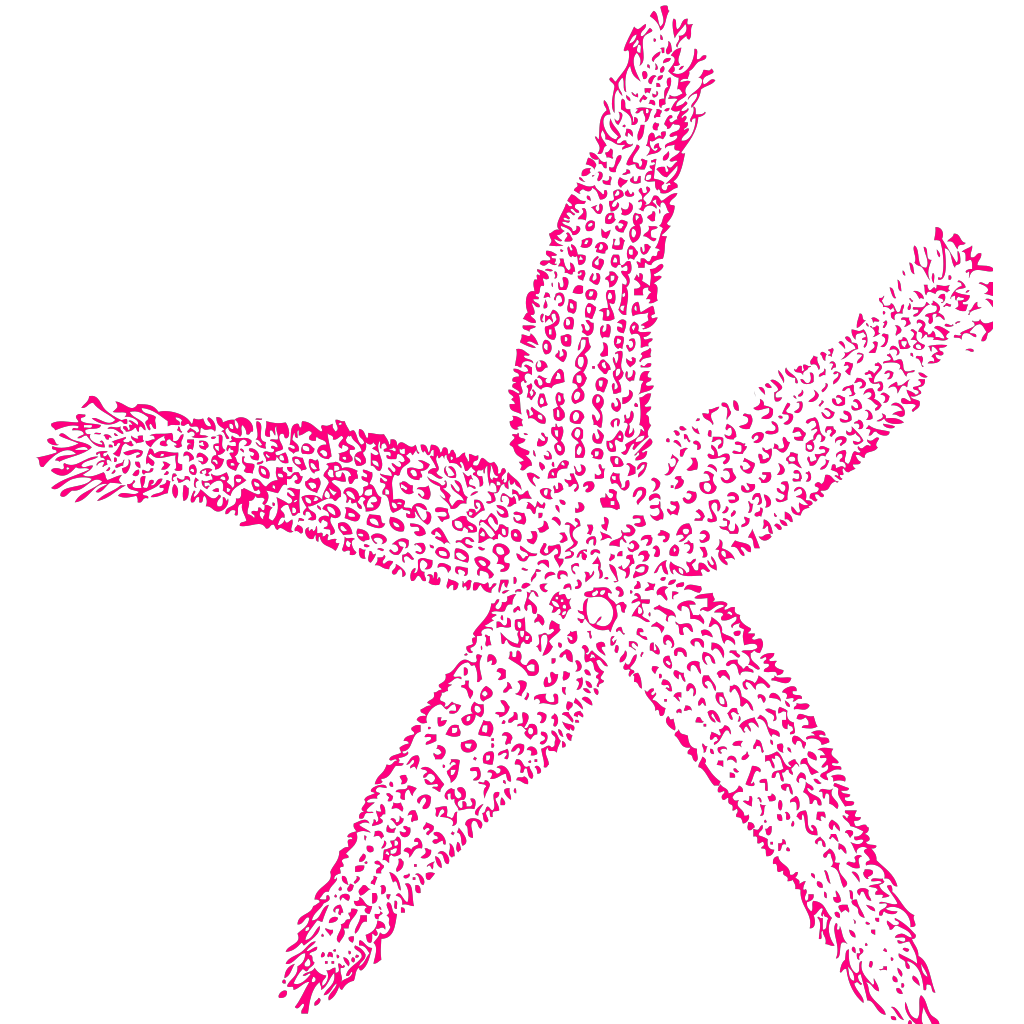 Download Starfish PNG, SVG Clip art for Web - Download Clip Art ...